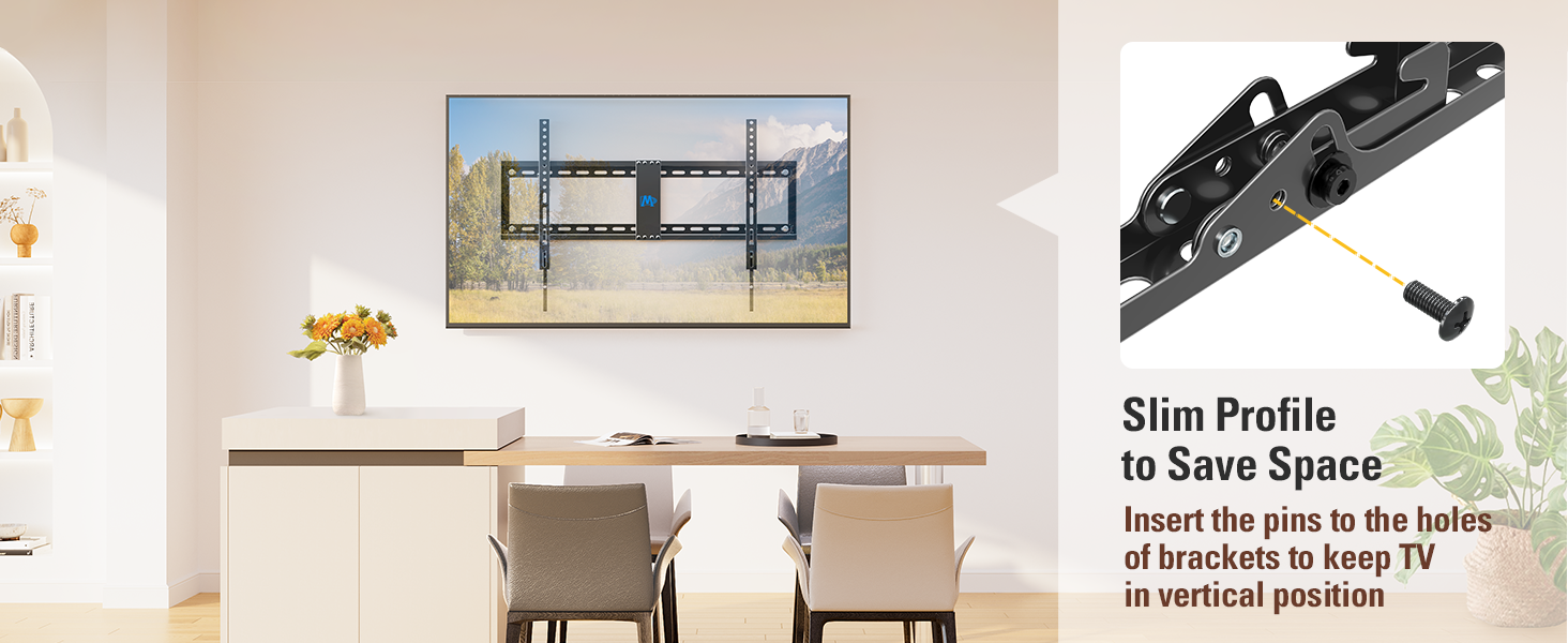 TV MOUNT