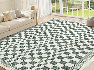 Living Room Area Rug