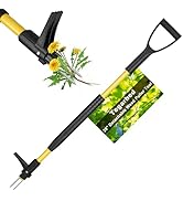 Tegarbed 39" Stand Up Weed Puller Tool - Heavy Duty Detachable 3-Claw Weeder with Ergonomic Long ...