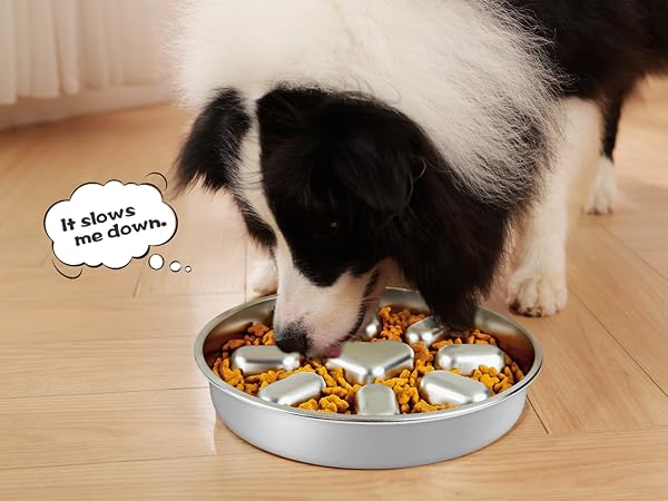 slow feeder dog bowls