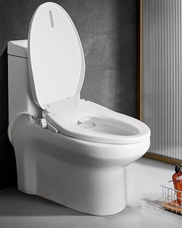 heated toilet seat with bidet