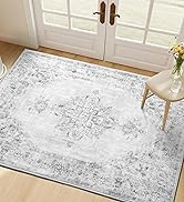 Area Rug 2x3, Washable Rug for Entryway Indoor, Small Area Rug for Living Room Entrance, Vintage ...