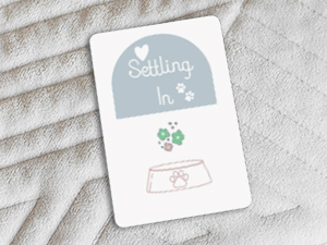 pet milestone cards memory adoption gift keepsake journey dog cat puppy kitten book alternative phot