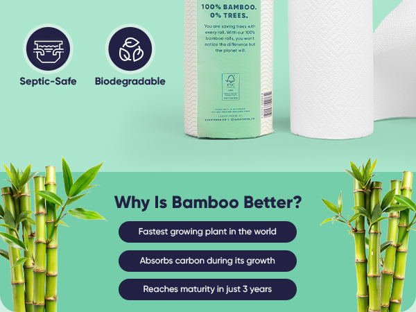 bamboo paper towels kitchen roll recycled towel super plant based disposable tree free products