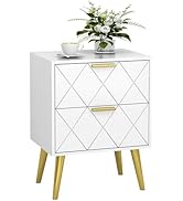 Nightstand with 2 Drawers White Bedside Table, Side Table with Gold Legs, Modern Style Night Stan...