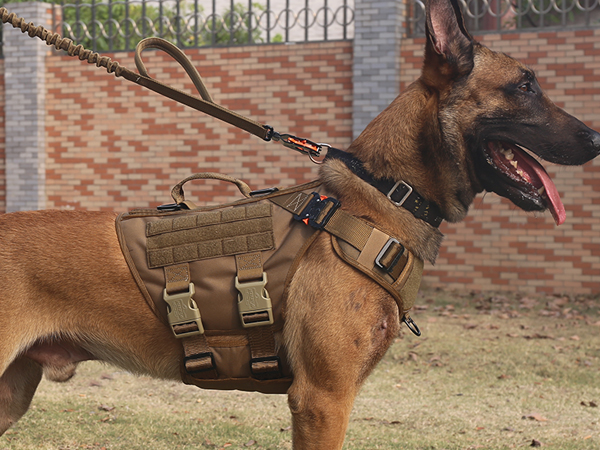 dog vest brown