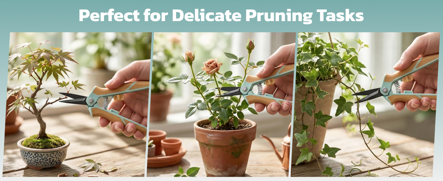 enjoy pruning