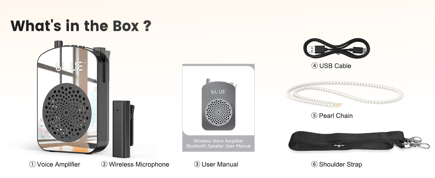 Wireless Voice Amplifier
