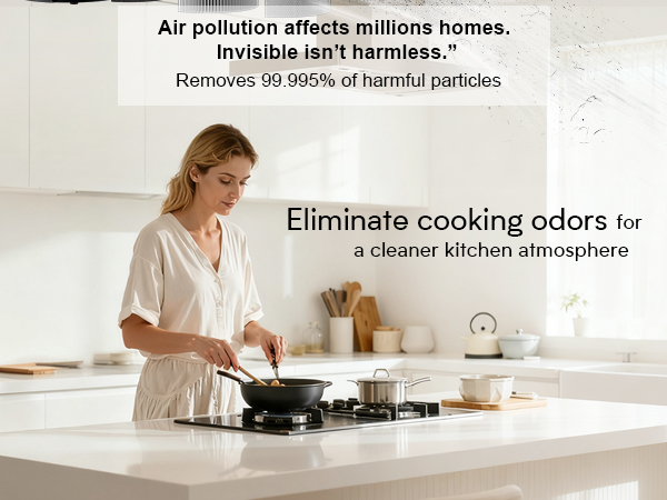 air purifier for kitchen