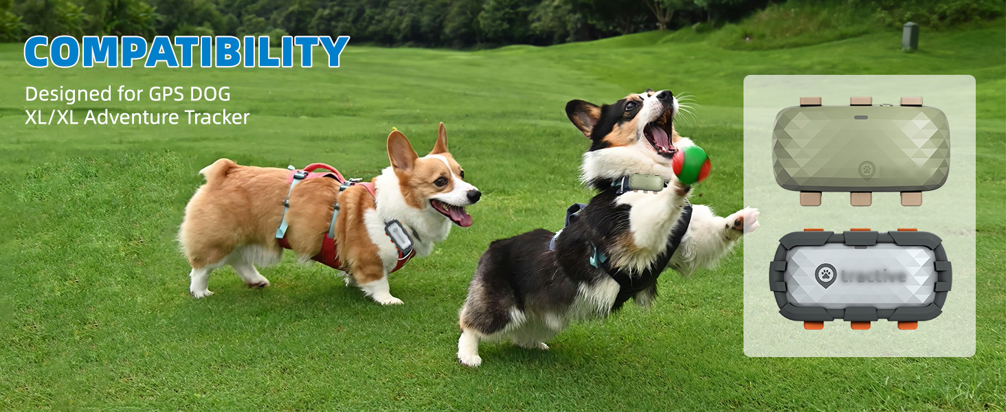 tractive gps dog tracker