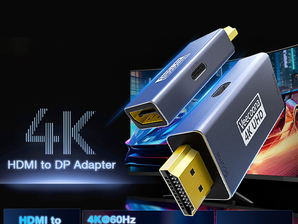 HDMI to DisplayPort Adapter