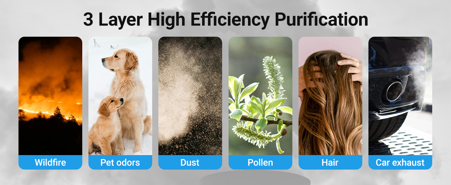 air purifier