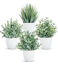 https://m.media-amazon.com/images/S/aplus-media-library-service-media/02735898-5b92-4330-a6a4-3ff8e1a27b24.__CR0,0,800,900_PT0_SX200_V1___.jpg