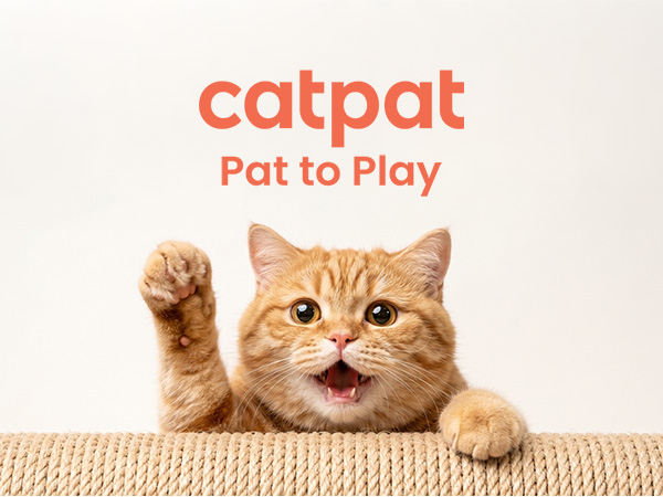 611 cat toy