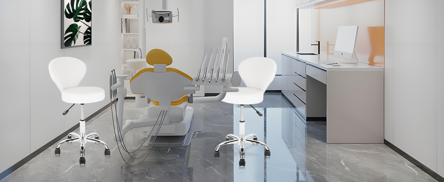 Rolling Swivel Salon Stool Chair with Back Support Adjustable
