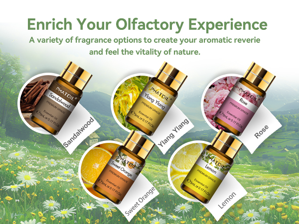 PHATOIL Essential Oils Gift Set