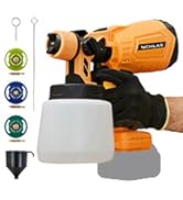 dewalt paint sprayer
