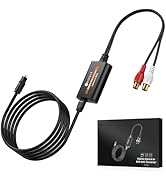 Neoteck Optical to RCA Cable DAC Converter with Built-in Audio Amplifier Chipset 192kHz SPDIF to ...