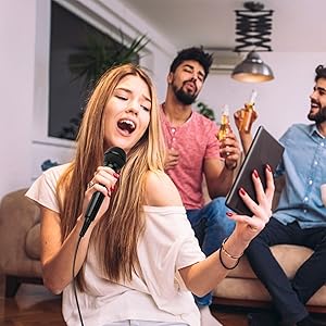 cardioid karaoke microphone