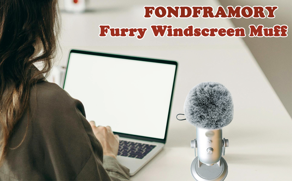 Pop Filter for Blue Yeti Microphone