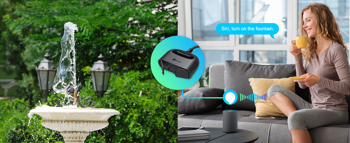 Voice Control