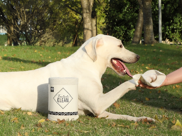 PET CLEANING