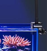 aquarium light
