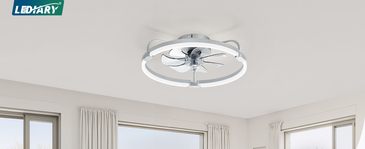 ceiling fan
