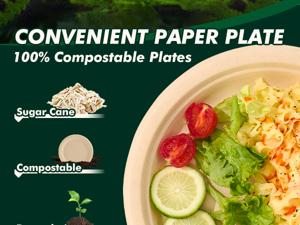 Convenient paper plate