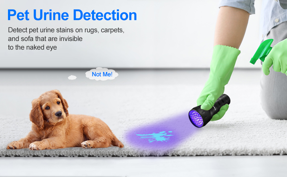 pet urine detection