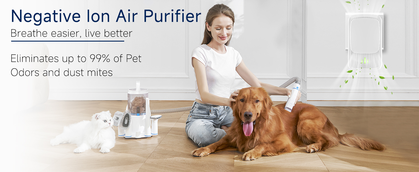 air purifiers for home