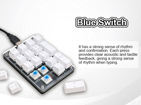 Blue Switch