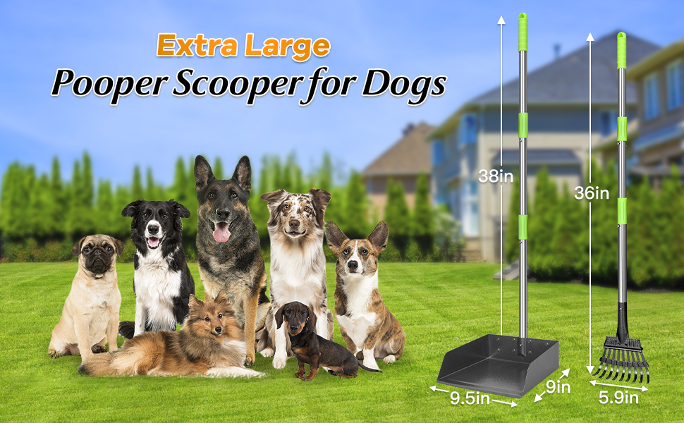 pooper scooper for large dogs