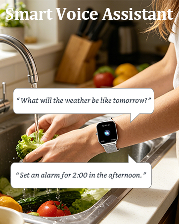 Voice Assistant
