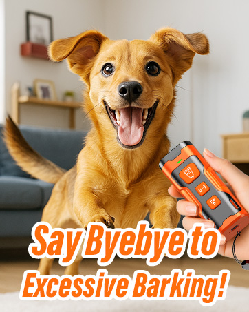 dog bark deterrent device