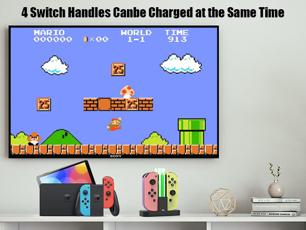 nintendo switch charger