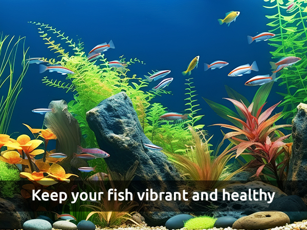aquarium cleaning tools