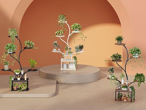 plant rack