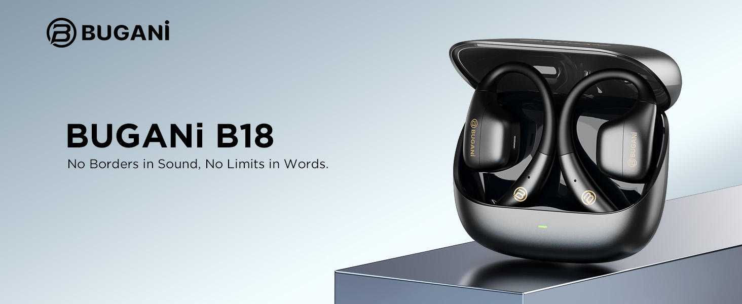 Translation Earbuds 
