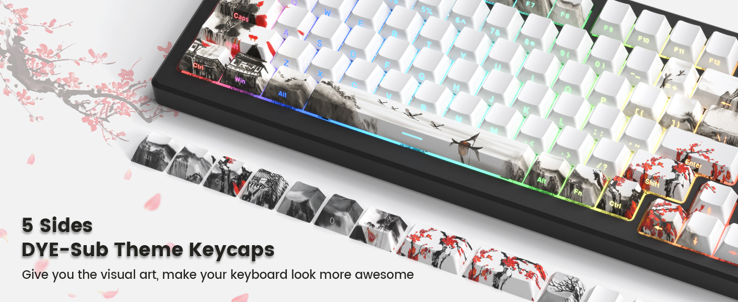 womier dye sub pbt doubleshot keycaps