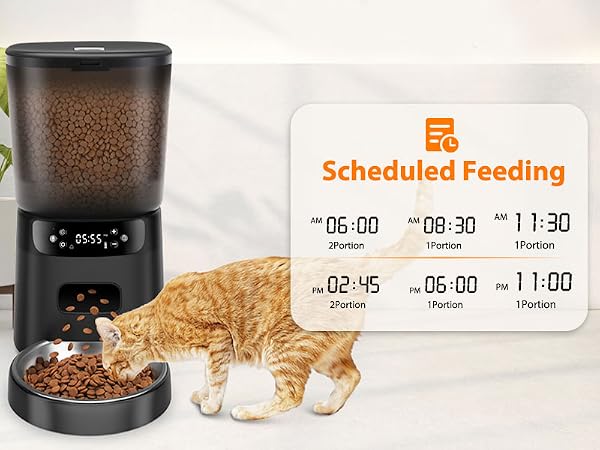 cat food dispenser
