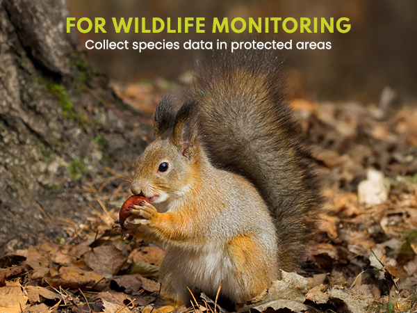 trail cams with night vision and waterproof