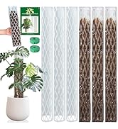 Sisher 6 Pcs Monstera Moss Pole,Plastic Moss Poles for Climbing Plants Work with Sphagnum Moss,6×...