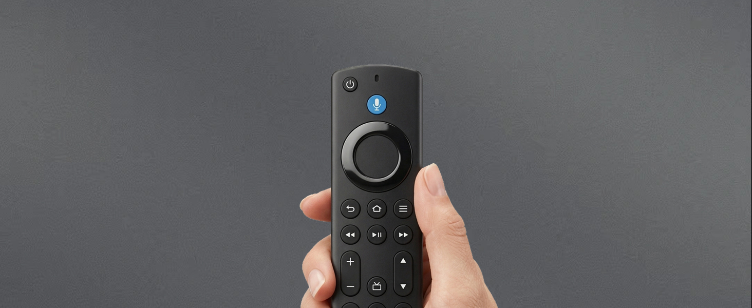 voice remote