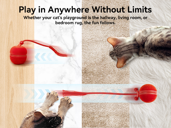 interactive cat toys for indoor cats
