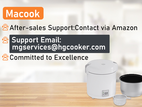 mini rice cooker small rice cooker 2 cup