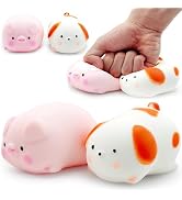 Squishy Dog &amp; Splash Piggy Stress Balls for Kids Squishy Ball Fidget Toys (2-Pack) Sensory Stress...