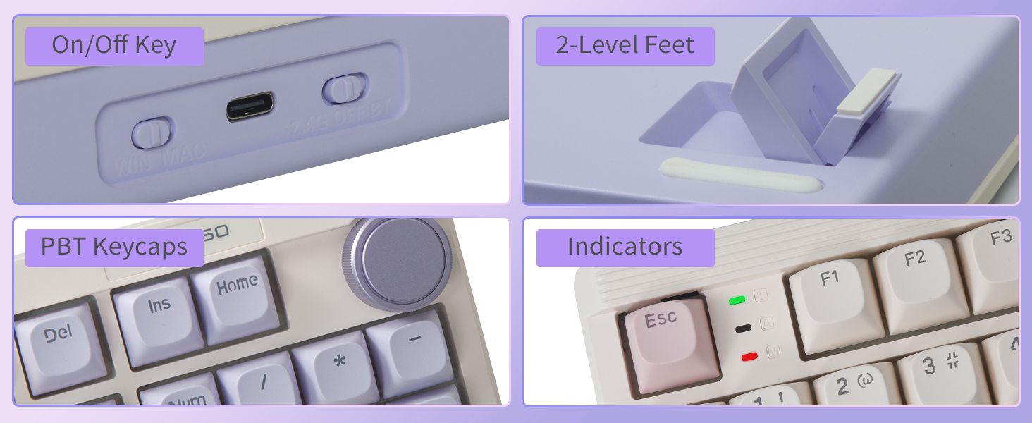pbt