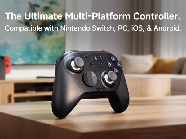 nintendo switch 2 pro controller