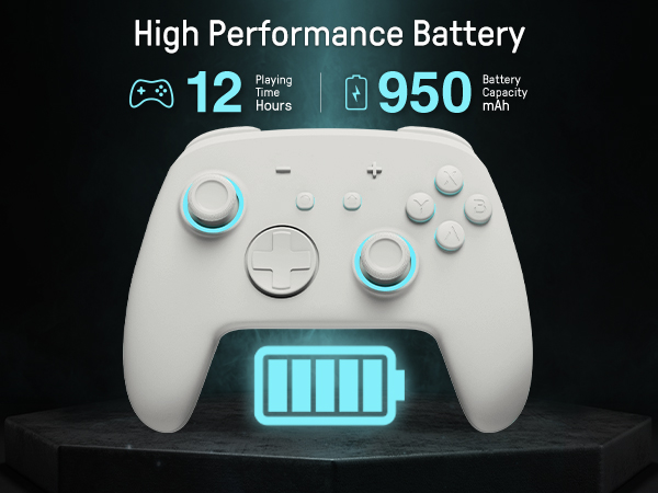 Nintendo switch pro controller